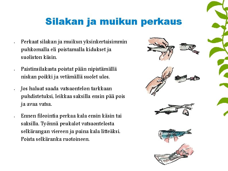 Silakan ja muikun perkaus • • Perkaat silakan ja muikun yksinkertaisimmin puhkomalla eli poistamalla