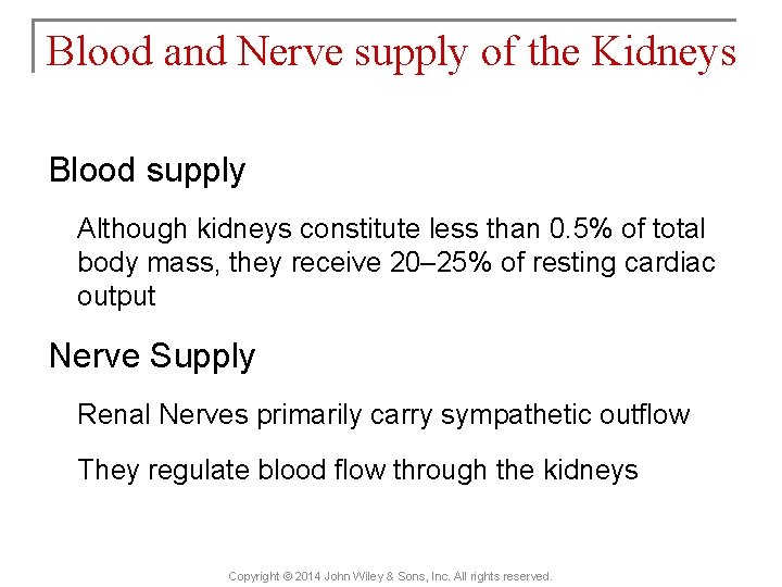 Blood and Nerve supply of the Kidneys Blood supply Although kidneys constitute less than