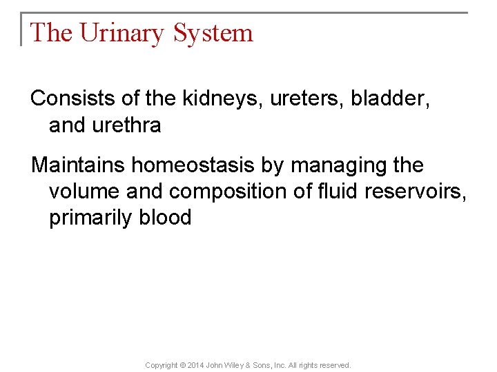 The Urinary System Consists of the kidneys, ureters, bladder, and urethra Maintains homeostasis by