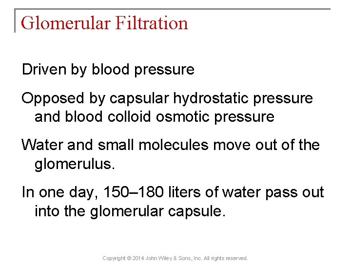 Glomerular Filtration Driven by blood pressure Opposed by capsular hydrostatic pressure and blood colloid