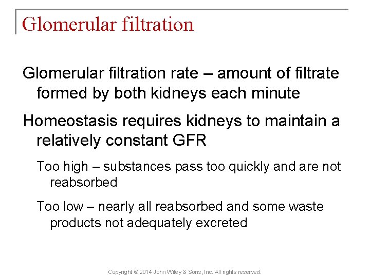Glomerular filtration rate – amount of filtrate formed by both kidneys each minute Homeostasis