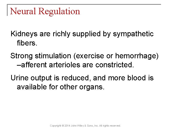 Neural Regulation Kidneys are richly supplied by sympathetic fibers. Strong stimulation (exercise or hemorrhage)