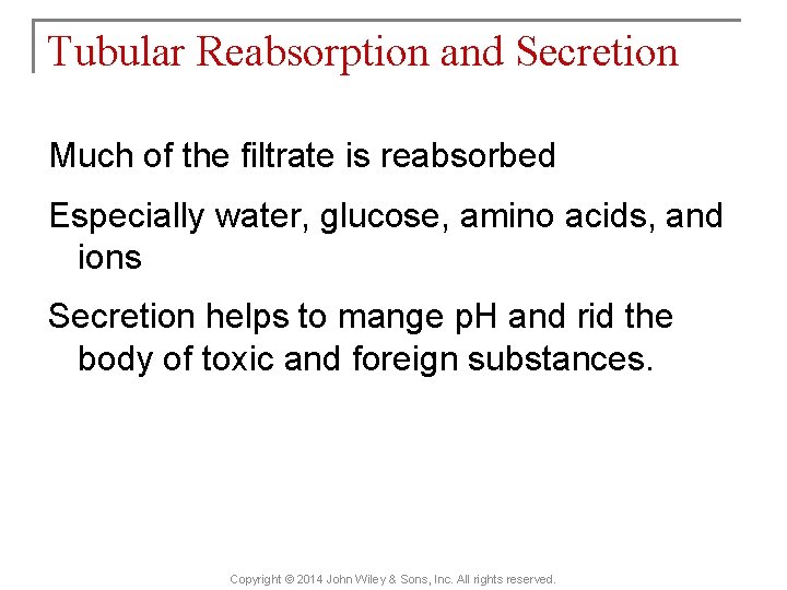 Tubular Reabsorption and Secretion Much of the filtrate is reabsorbed Especially water, glucose, amino