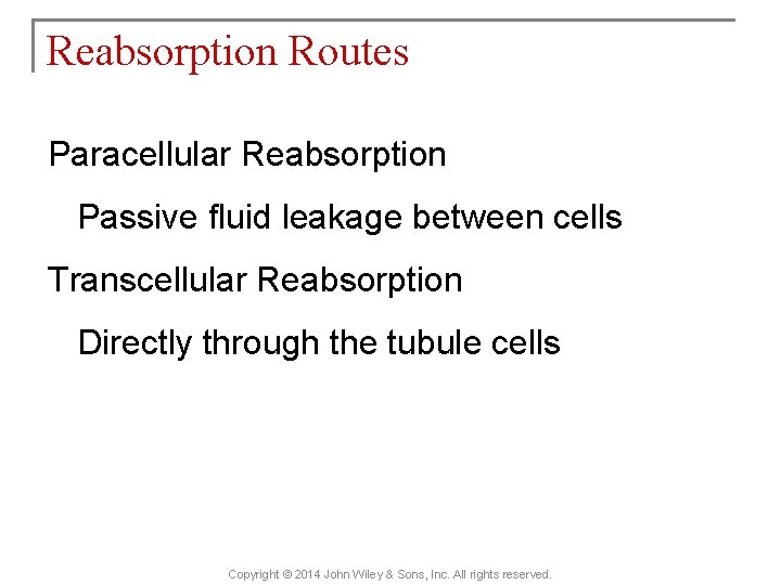 Reabsorption Routes Paracellular Reabsorption Passive fluid leakage between cells Transcellular Reabsorption Directly through the