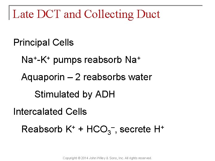 Late DCT and Collecting Duct Principal Cells Na+-K+ pumps reabsorb Na+ Aquaporin – 2