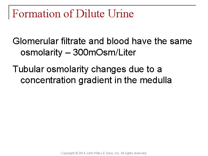 Formation of Dilute Urine Glomerular filtrate and blood have the same osmolarity – 300