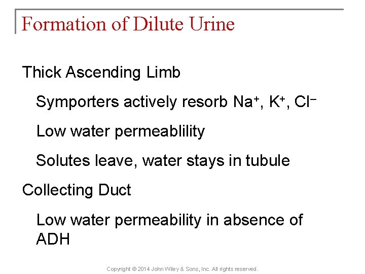 Formation of Dilute Urine Thick Ascending Limb Symporters actively resorb Na+, K+, Cl– Low