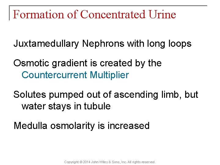 Formation of Concentrated Urine Juxtamedullary Nephrons with long loops Osmotic gradient is created by