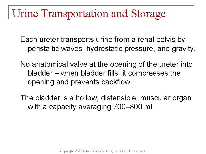 Urine Transportation and Storage Each ureter transports urine from a renal pelvis by peristaltic