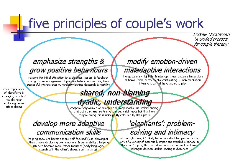 five principles of couple’s work Andrew Christensen ‘A unified protocol for couple therapy’ emphasize