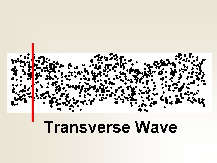 Transverse Wave 