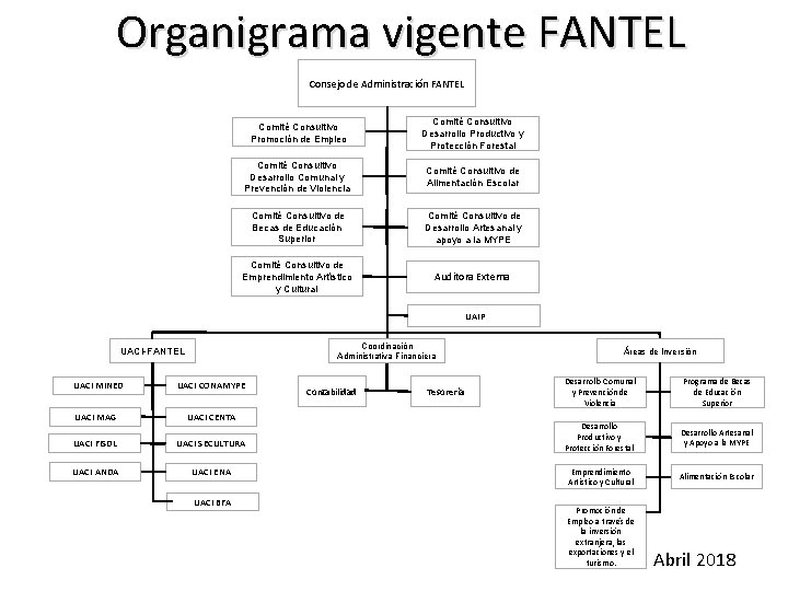 Organigrama vigente FANTEL Consejo de Administración FANTEL Comité Consultivo Promoción de Empleo Comité Consultivo