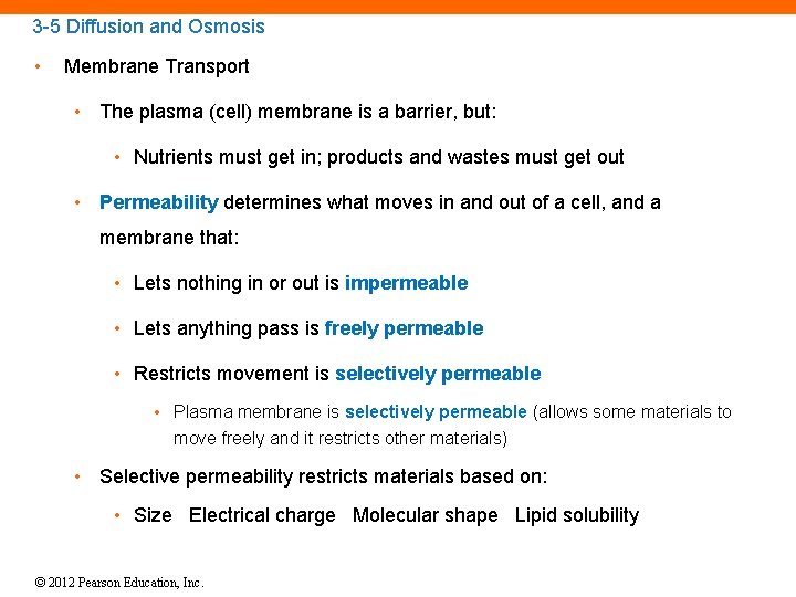 3 -5 Diffusion and Osmosis • Membrane Transport • The plasma (cell) membrane is
