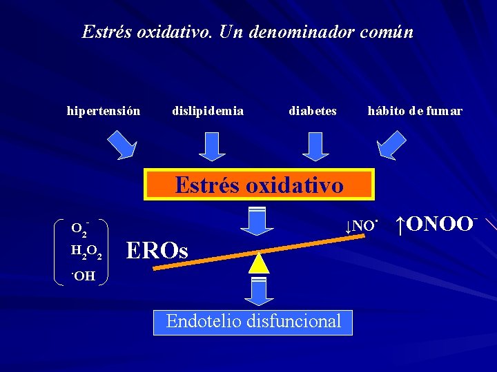 Estrés oxidativo. Un denominador común hipertensión dislipidemia diabetes hábito de fumar Estrés oxidativo O