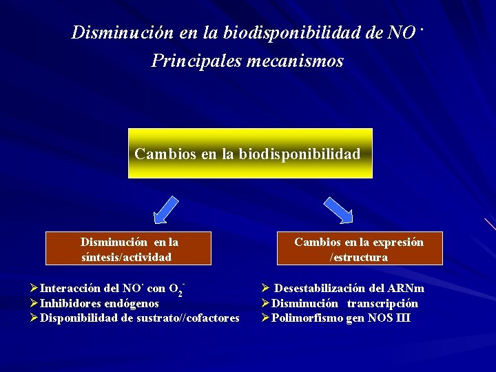 Disminución en la biodisponibilidad de NO. Principales mecanismos Cambios en la biodisponibilidad Disminución en