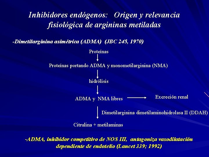 Inhibidores endógenos: Origen y relevancia fisiológica de argininas metiladas -Dimetilarginina asimétrica (ADMA) (JBC 245,