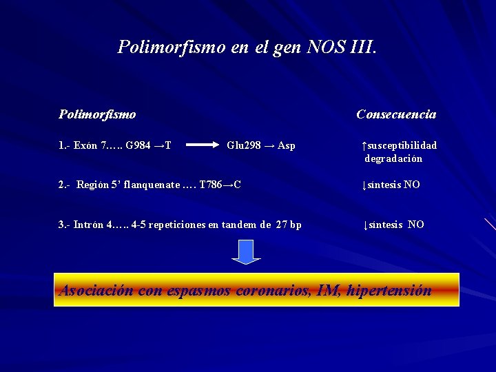 Polimorfismo en el gen NOS III. Polimorfismo 1. - Exón 7…. . G 984