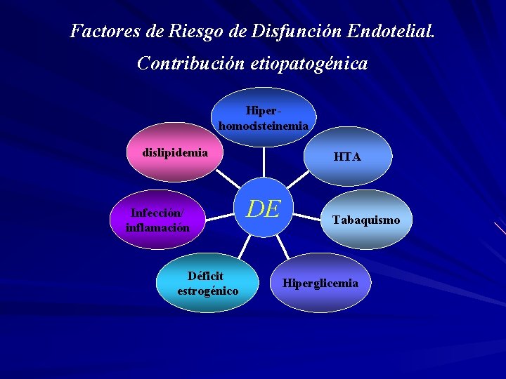 Factores de Riesgo de Disfunción Endotelial. Contribución etiopatogénica Hiperhomocisteinemia dislipidemia Infección/ inflamación Déficit estrogénico