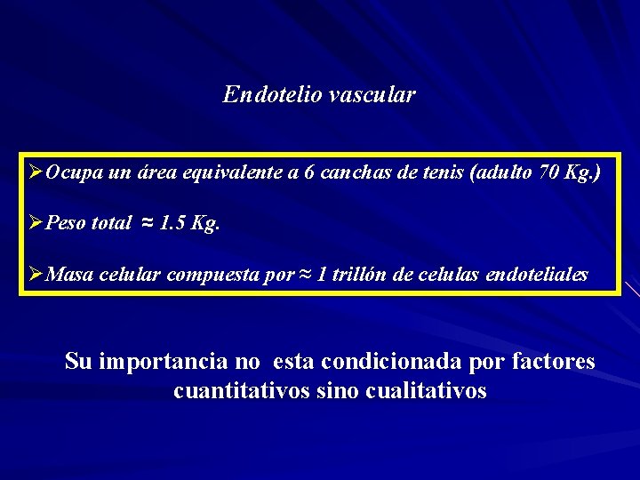 Endotelio vascular ØOcupa un área equivalente a 6 canchas de tenis (adulto 70 Kg.