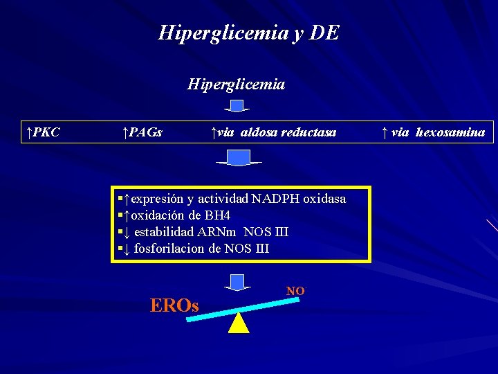 Hiperglicemia y DE Hiperglicemia ↑PKC ↑PAGs ↑via aldosa reductasa §↑expresión y actividad NADPH oxidasa