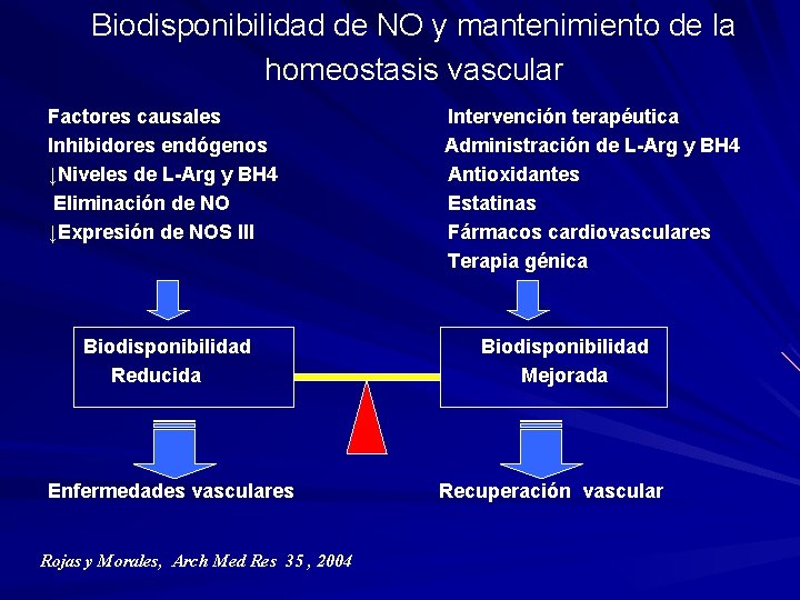 Biodisponibilidad de NO y mantenimiento de la homeostasis vascular Factores causales Inhibidores endógenos ↓Niveles