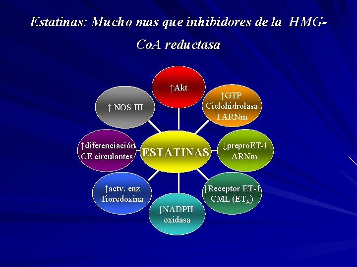 Estatinas: Mucho mas que inhibidores de la HMGCo. A reductasa ↑Akt ↑ NOS III