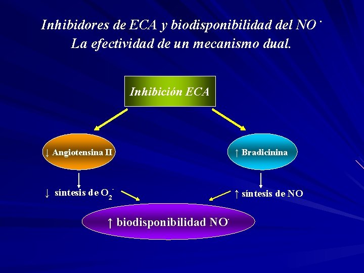 Inhibidores de ECA y biodisponibilidad del NO La efectividad de un mecanismo dual. Inhibición