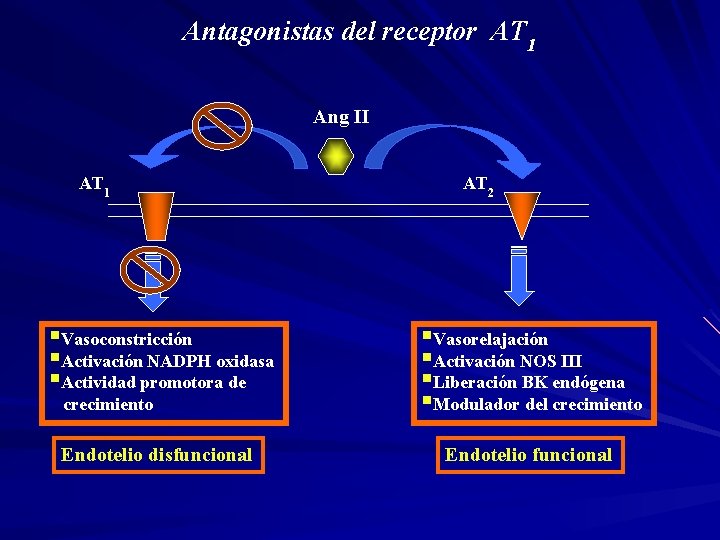 Antagonistas del receptor AT 1 Ang II AT 1 §Vasoconstricción §Activación NADPH oxidasa §Actividad