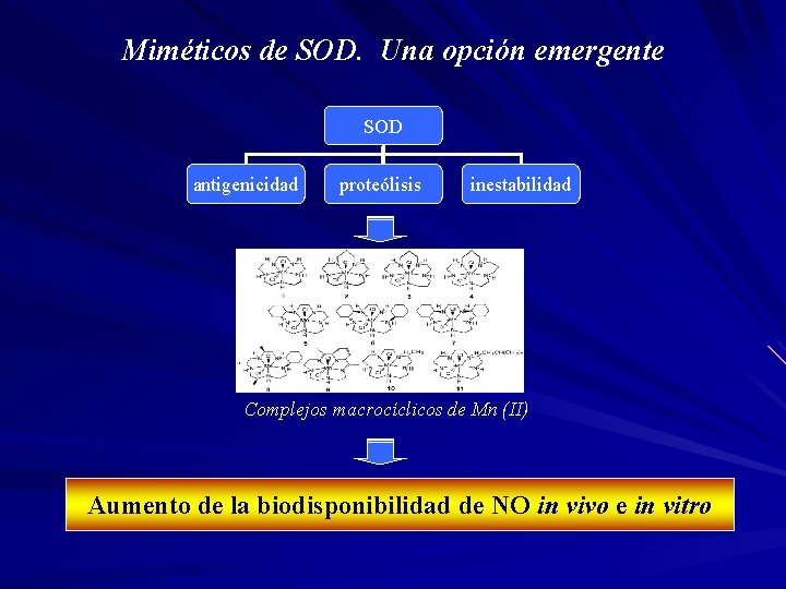 Miméticos de SOD. Una opción emergente SOD antigenicidad proteólisis inestabilidad Complejos macrocíclicos de Mn