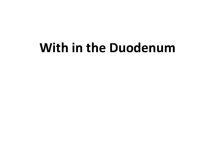 With in the Duodenum 