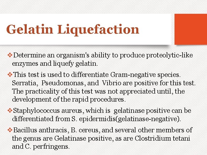 Gelatin Liquefaction v. Determine an organism's ability to produce proteolytic-like enzymes and liquefy gelatin.