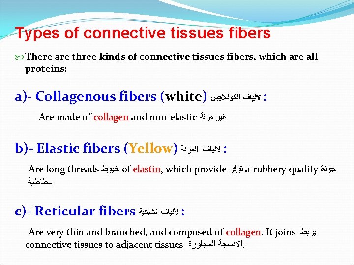 Types of connective tissues fibers There are three kinds of connective tissues fibers, which