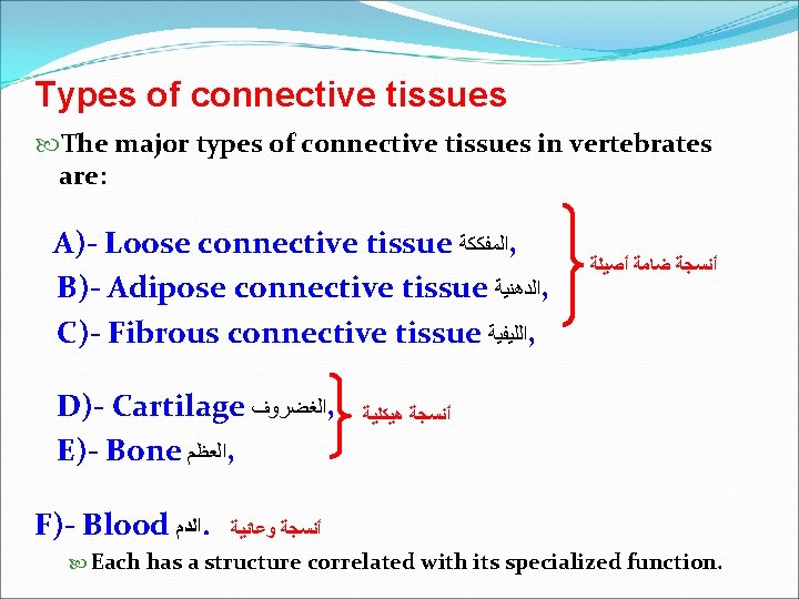 Types of connective tissues The major types of connective tissues in vertebrates are: A)-