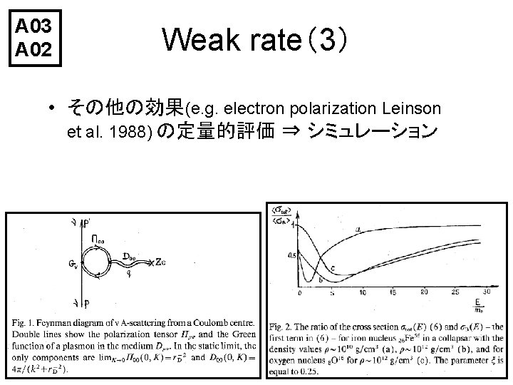 A 03 A 02 Weak rate（3） • その他の効果(e. g. electron polarization Leinson et al.