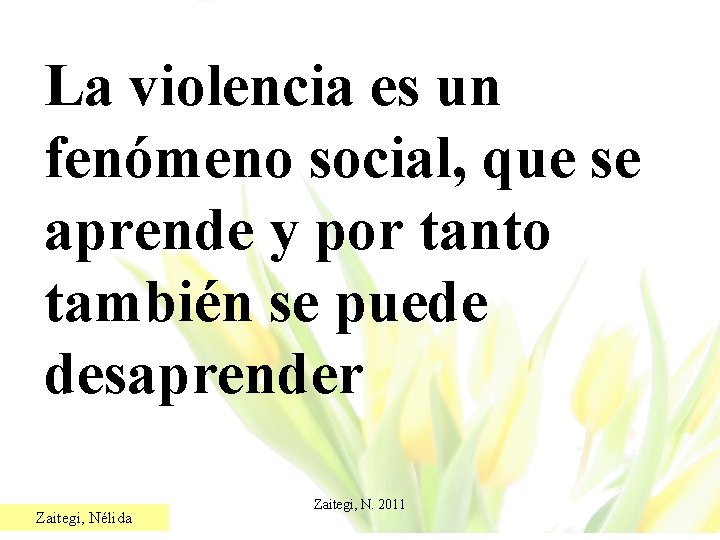 La violencia es un fenómeno social, que se aprende y por tanto también se