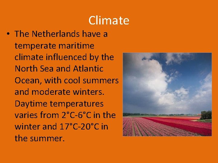 Climate • The Netherlands have a temperate maritime climate influenced by the North Sea