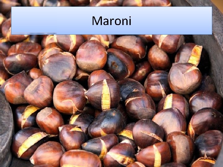 Maroni 