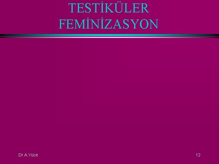 TESTİKÜLER FEMİNİZASYON Dr. A. Yüce 12 