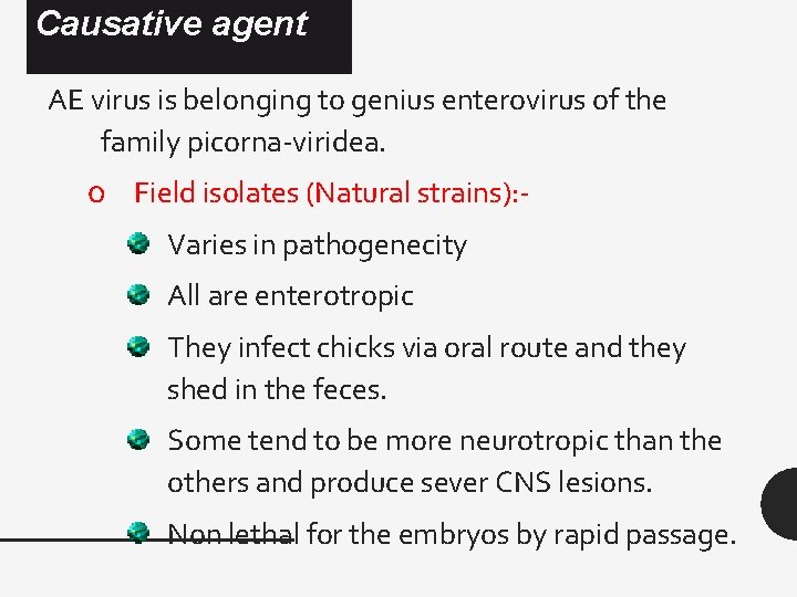 Causative agent AE virus is belonging to genius enterovirus of the family picorna-viridea. o Causative agent AE virus is belonging to genius enterovirus of the family picorna-viridea. o