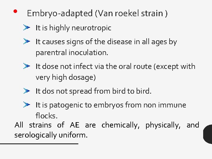 • Embryo-adapted (Van roekel strain ) It is highly neurotropic It causes signs • Embryo-adapted (Van roekel strain ) It is highly neurotropic It causes signs