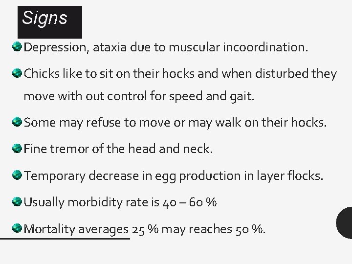 Signs Depression, ataxia due to muscular incoordination. Chicks like to sit on their hocks