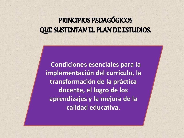 PRINCIPIOS PEDAGGICOS QUE SUSTENTAN EL PLAN DE ESTUDIOS