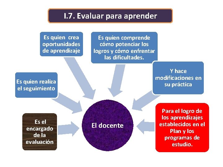 PRINCIPIOS PEDAGGICOS QUE SUSTENTAN EL PLAN DE ESTUDIOS