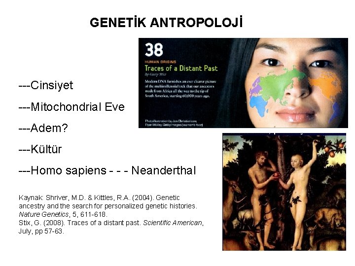 GENETİK ANTROPOLOJİ ---Cinsiyet ---Mitochondrial Eve ---Adem? ---Kültür ---Homo sapiens - - - Neanderthal Kaynak: