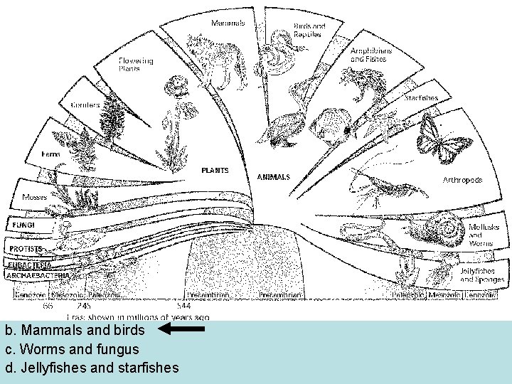 The fan diagram shows the relationships among different kingdoms and the evolutionary history of The fan diagram shows the relationships among different kingdoms and the evolutionary history of