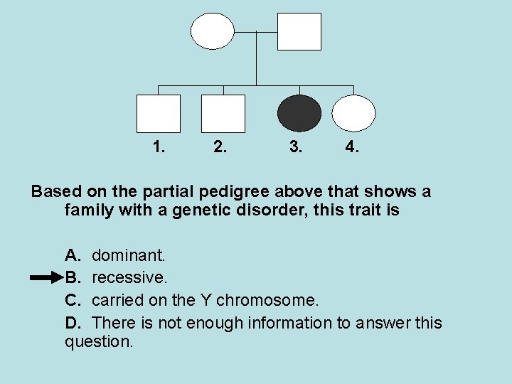 1. 2. 3. 4. Based on the partial pedigree above that shows a family 1. 2. 3. 4. Based on the partial pedigree above that shows a family