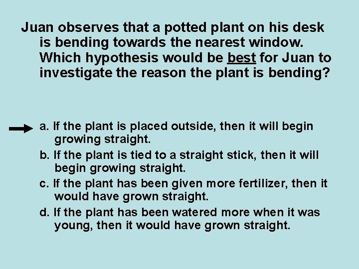 Juan observes that a potted plant on his desk is bending towards the nearest Juan observes that a potted plant on his desk is bending towards the nearest