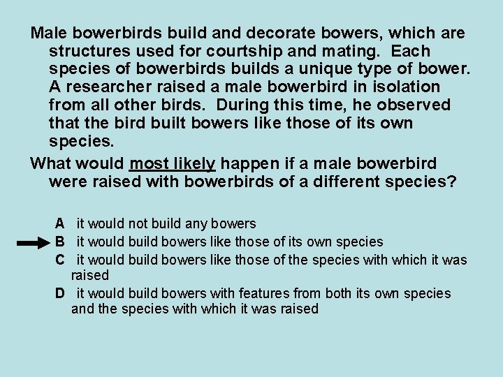 Male bowerbirds build and decorate bowers, which are structures used for courtship and mating. Male bowerbirds build and decorate bowers, which are structures used for courtship and mating.