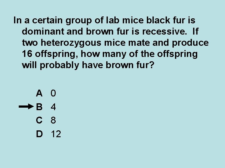 In a certain group of lab mice black fur is dominant and brown fur In a certain group of lab mice black fur is dominant and brown fur
