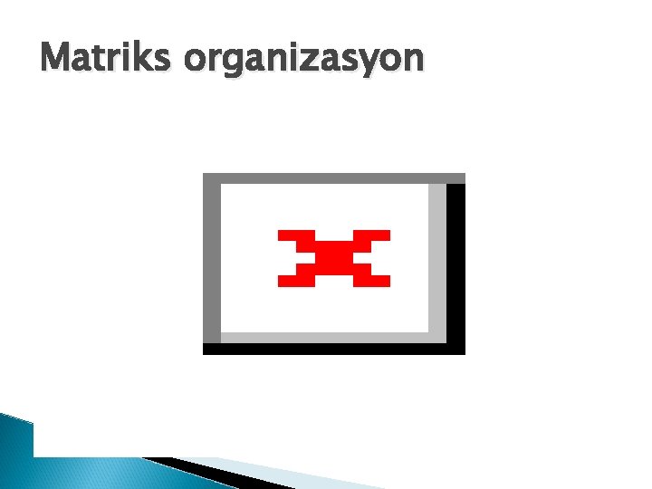 Matriks organizasyon 